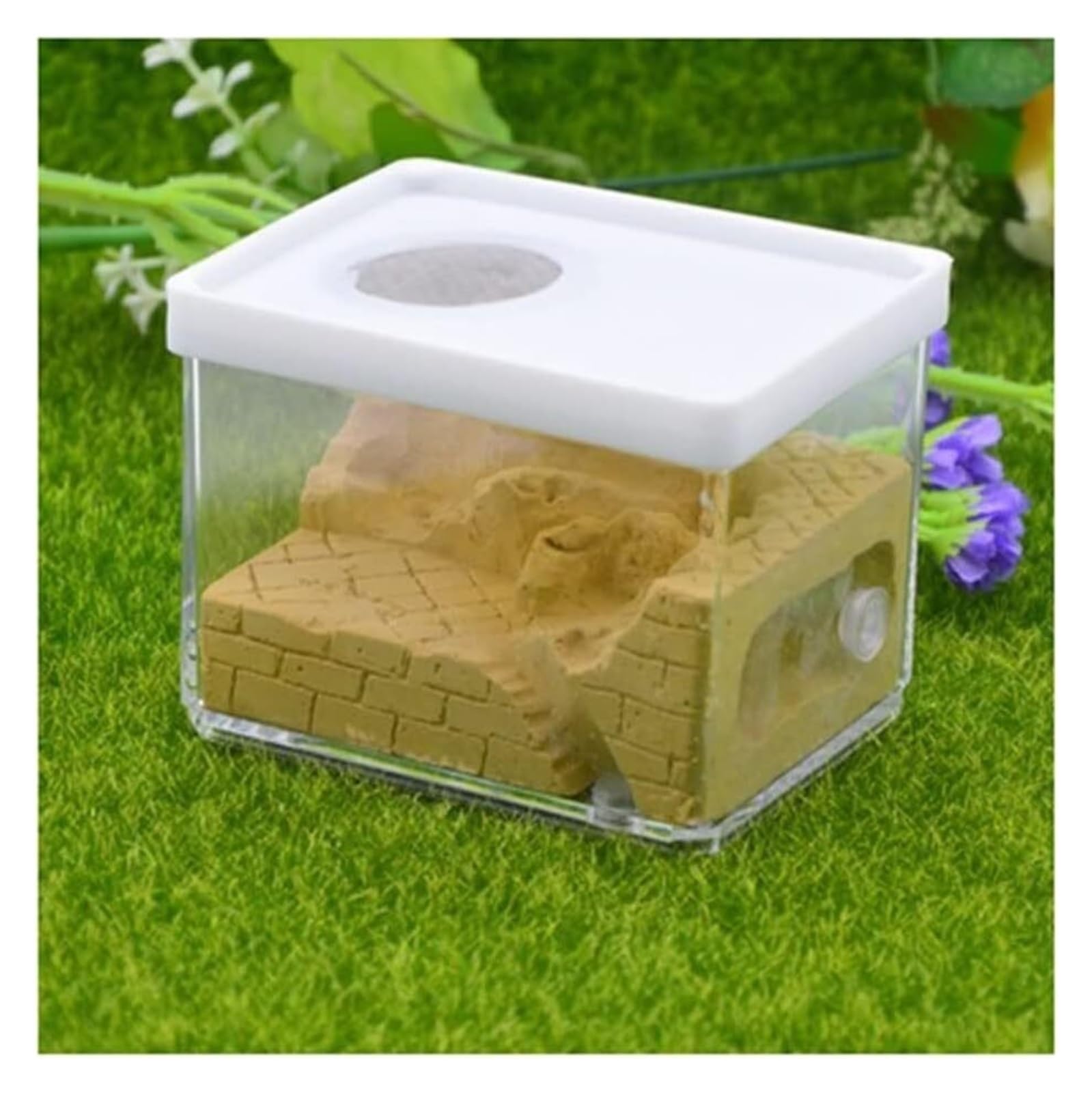 Gniazdo Mrówek,Terrarium Gipsowa Farma Mrówek Kwadratowe Gniazdo Mrowisko Dla Zwierząt Pudełko Na Owady Gniazdo Mrówek Warsztat Używany Do Edukacji Naukowej O Mrówkach Mrowisko(Yellow)