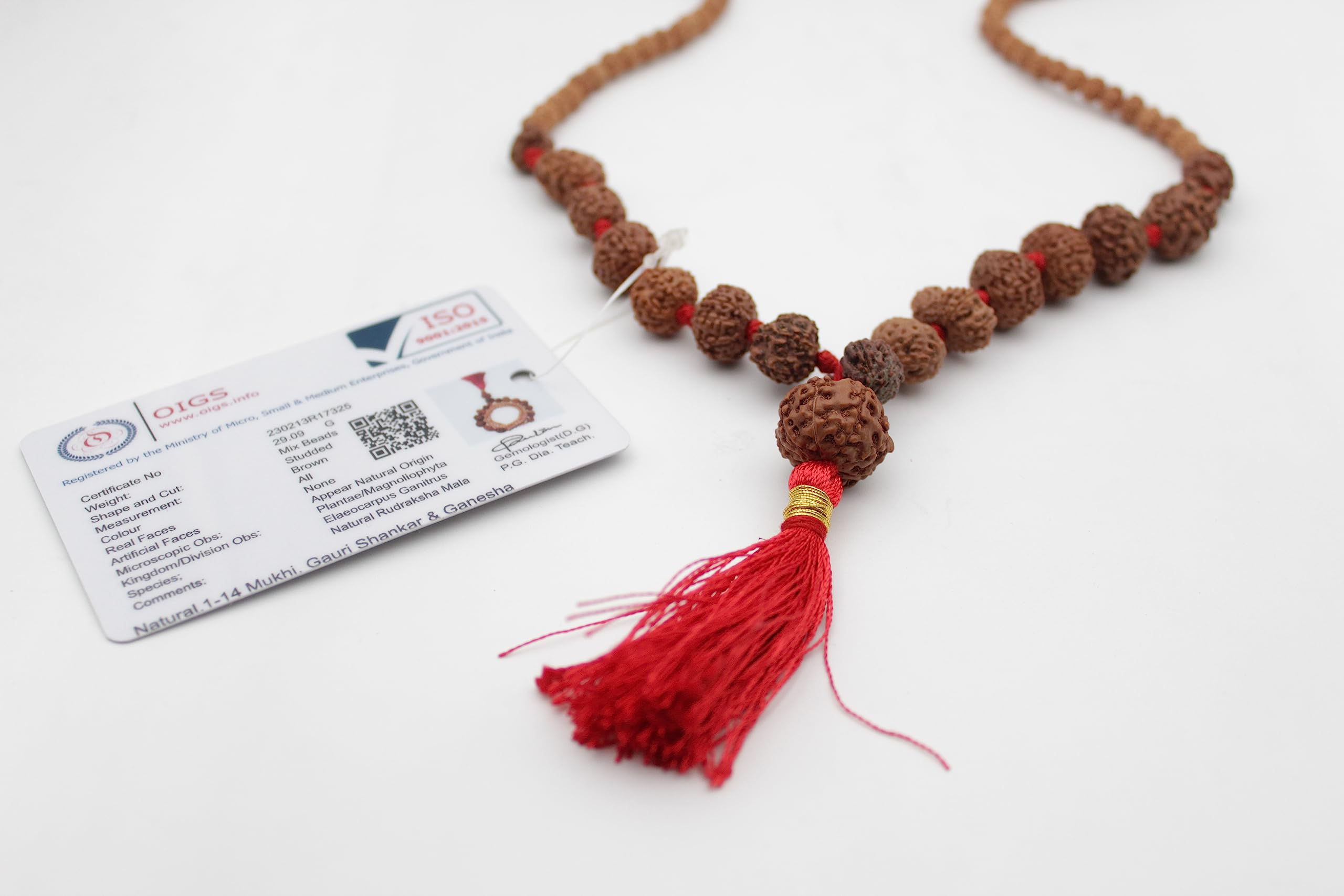 Dharmsaar Natural Rudraksha Bead Mala for Neck,1 to 14 Mukhi Rudraksha Mala Nepali,Original Certified Gauri Shankar Ganesha Rudraksha,1 se 14 Mukhi Siddha mala Nepal (29.09 g) (B0D1R5BHK2) Amazon Price History, Amazon Price Tracker