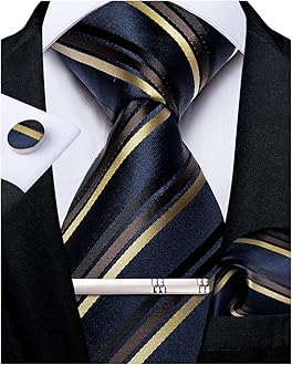DiBanGu Mens Striped Tie Silk Woven Necktie and Pocket Square Cufflinks Tie Clip Set Wedding Business Formal Gift Tie for Men
