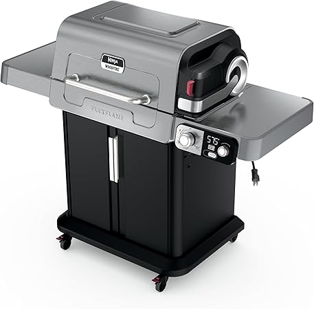 Ninja Woodfire Outdoor Grill & Smoker