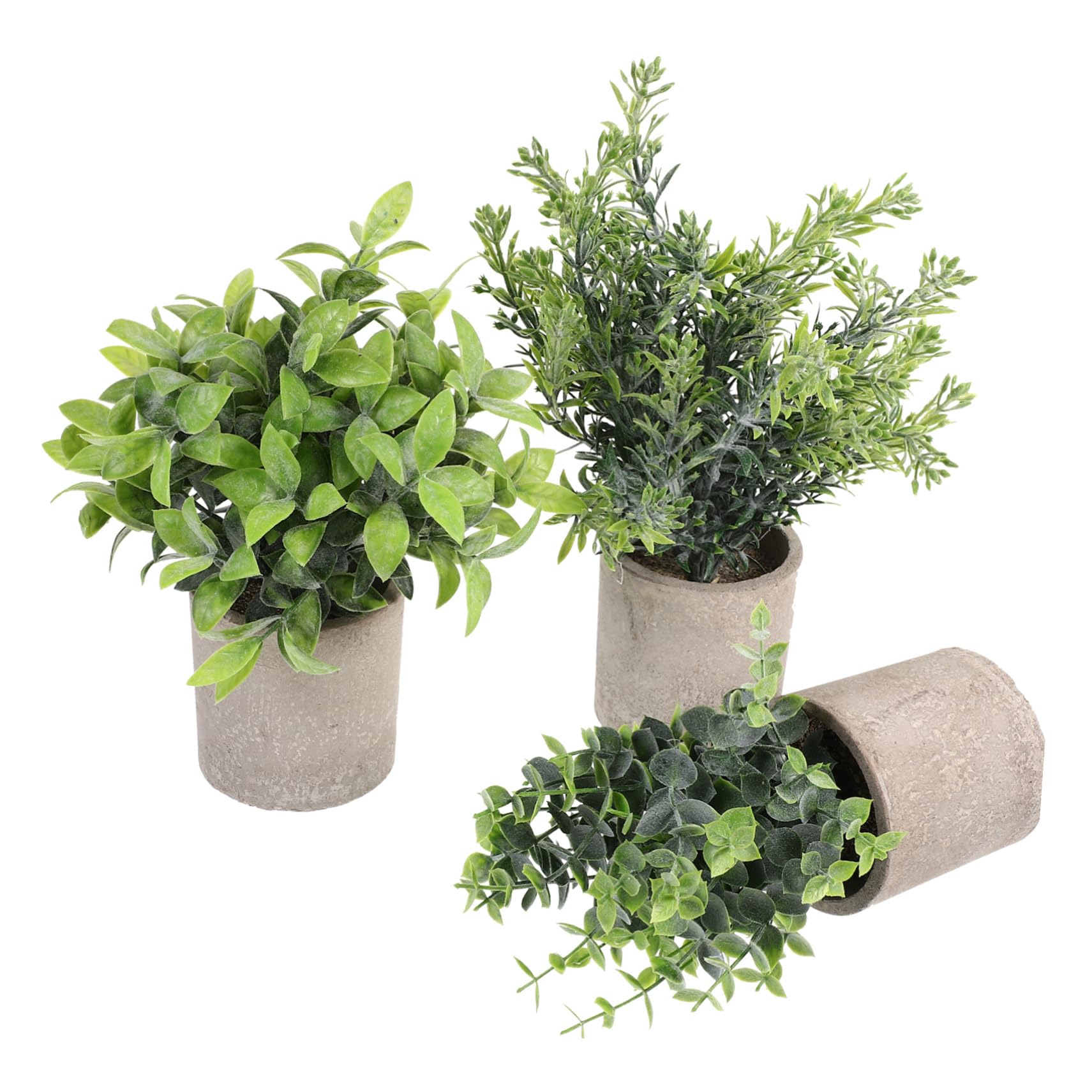 Zerodeko 3pezzi Potted Eucalyptus Per Decorazione Per e Casa Centrotavola Per Spazi