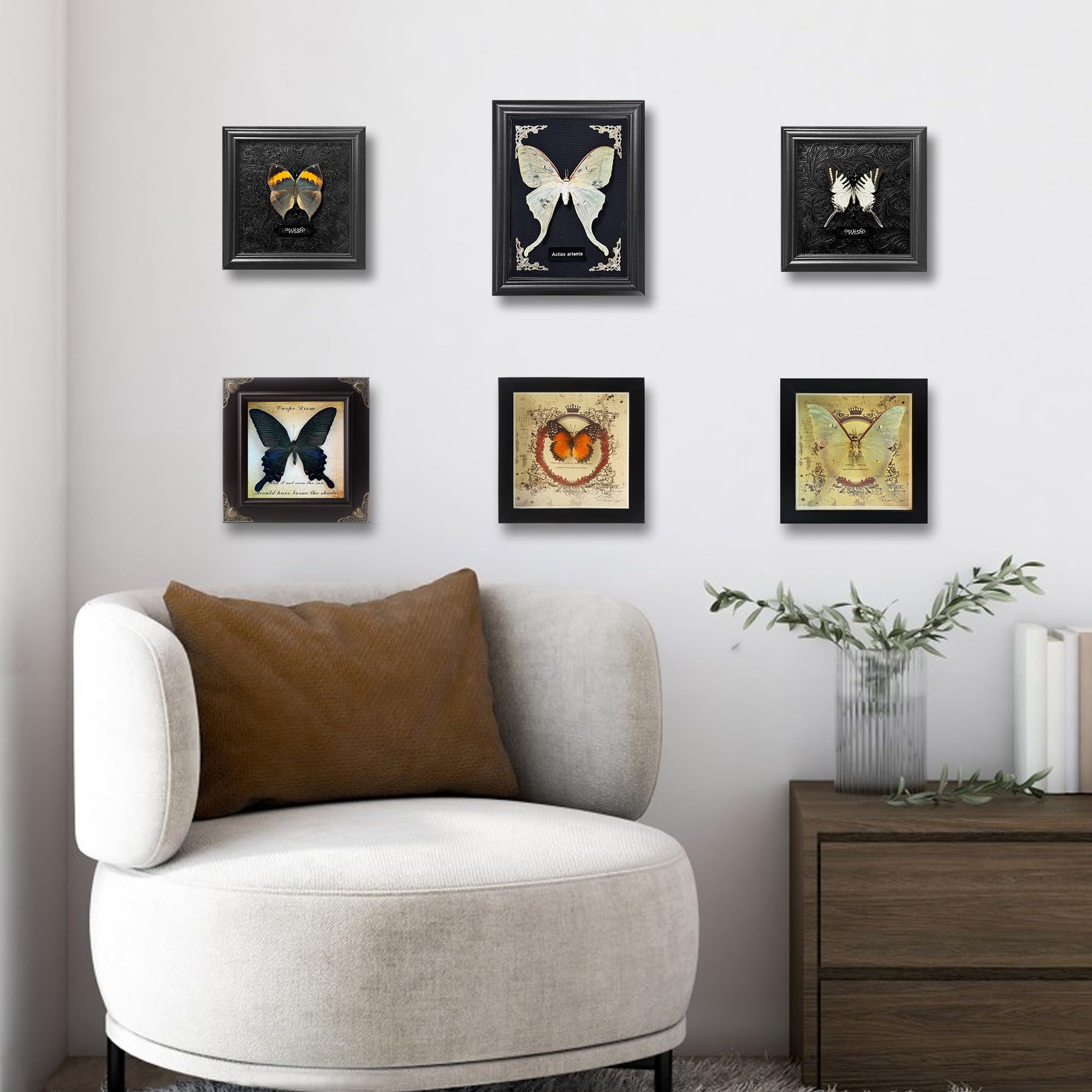 Taxidermy Butterfly Gothic Shadow Box, 6.9'' x 9''  Butterfly Wooden Framed Specimen Display Oddity Tabletop Wall Art Home Decor: Actias Selene