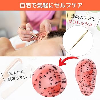Amazon.co.jp: ikomaido 耳 模型 耳ツボ 耳つぼ 耳つぼ