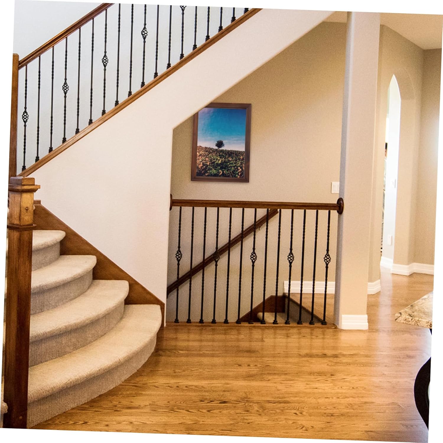 Long Shadow Box Flower Frame Display Case Dried Flowers Ornament for Living Room