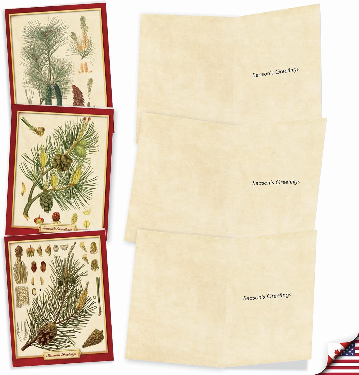 The Best Card Company - Box of 10 Holiday Note Cards - Christmas Cards Assorted, Xmas Trees and Landscapes (4 x 5.12 Inch) - Pining for Christmas M10011XS image 2