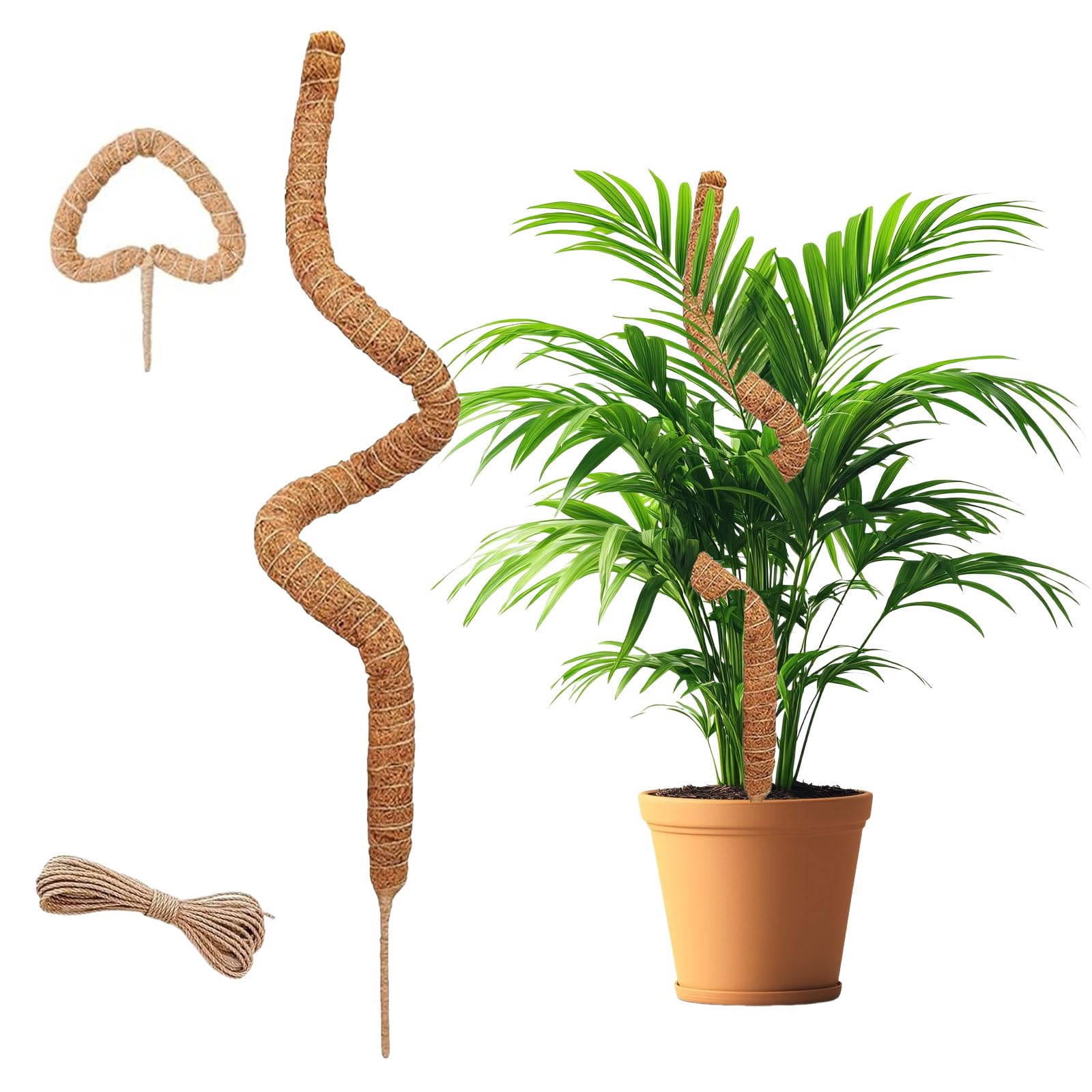 Moss Pole for Monstera, Sticks, Plant Supports for Indoor Plants, for Climbing Vines, Pothos, Potted,60CM, 1 pc