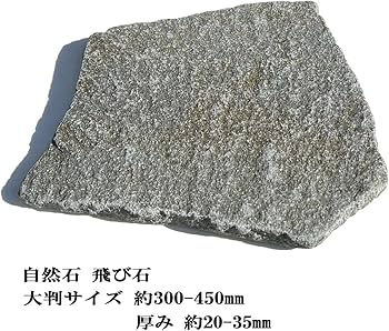 71DQ1Gc7f6L._AC_UF350,