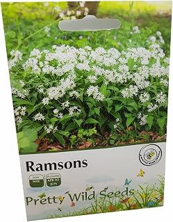 Ramsons Wild Garlic Herb Seeds in Pictorial Packet