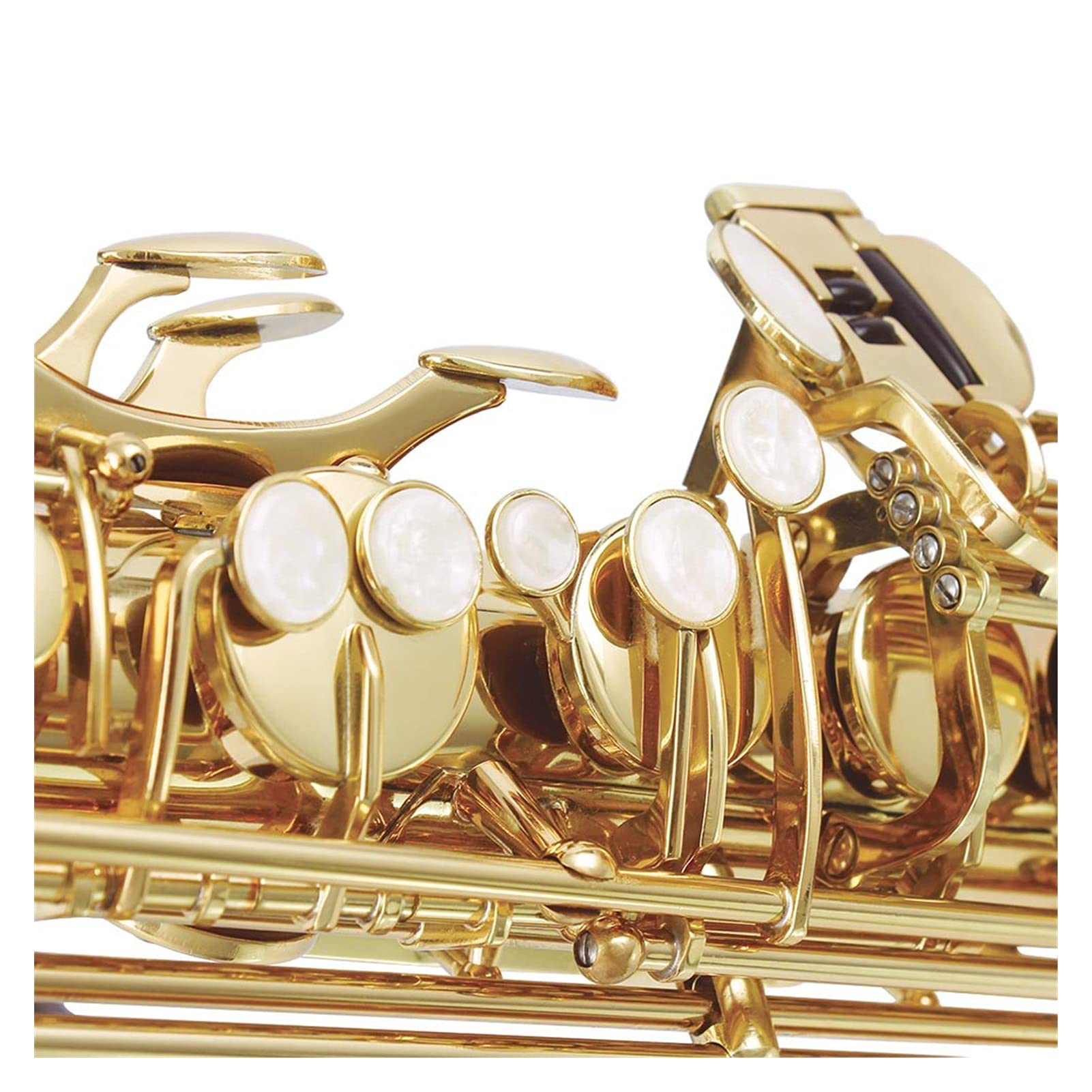 BB Tenor Sassofono Sax Scatolato Scatolato Perla Pulsanti di Conchiglia Bianca Perla Strumento di Vento con Caso Sassofono