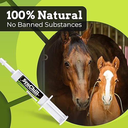 Miniatura 3 de SynChill - Suplemento en gel oral para caballo, apoyo cognitivo 100% natural, ayuda a mantener la concentración y la compostura, confiado por