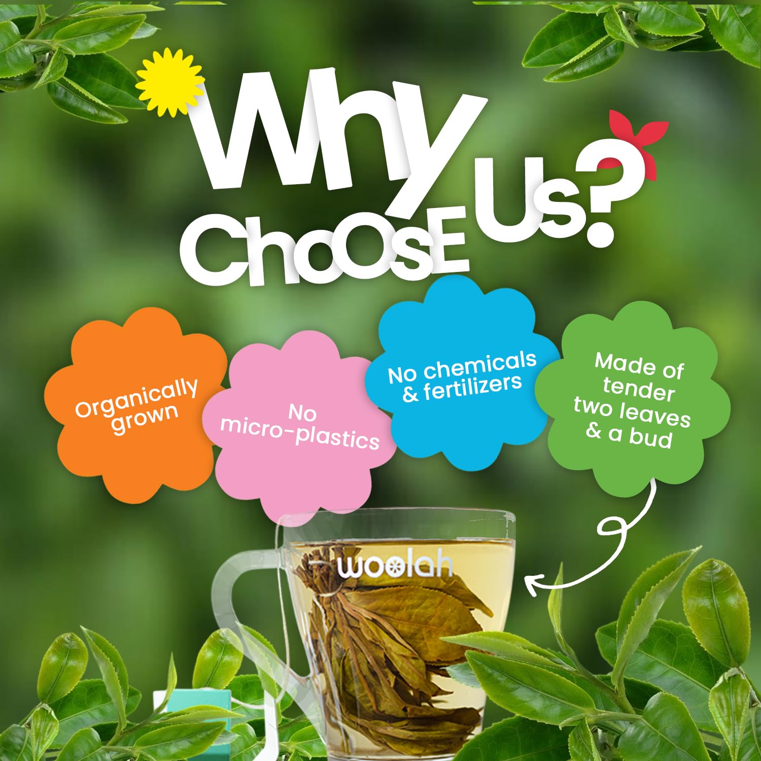 Woolah Rare Assam Green Tea With Tulsi, Organic Bagless Tea Dip (8 Packs = 120 Dips /240 Cups) 100% Plastic Free, Natural Whole Leaf, High Antioxidants Supports Weight Management, Improves Skin, Improves Digestive & Heart Health. — Amazon image 3