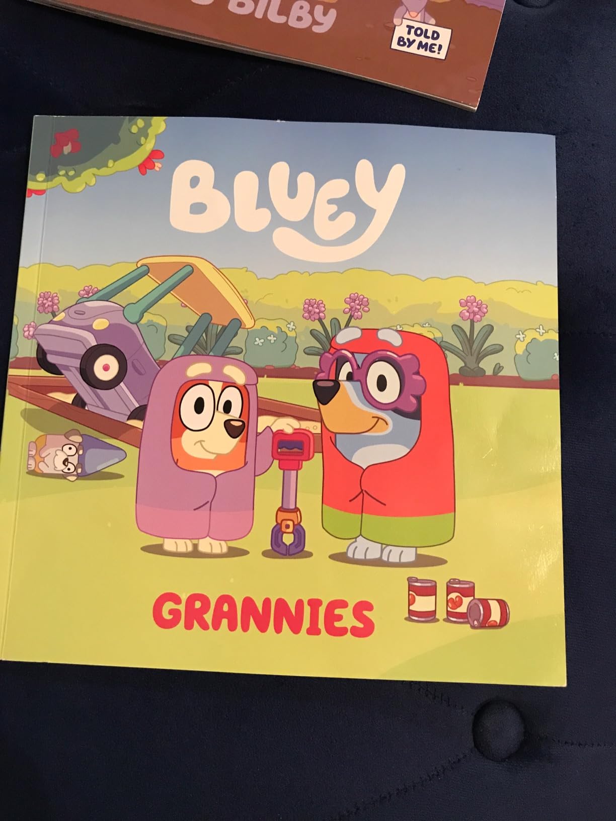 bluey-grannies-penguin-young-readers-licenses-9780593384169-amazon