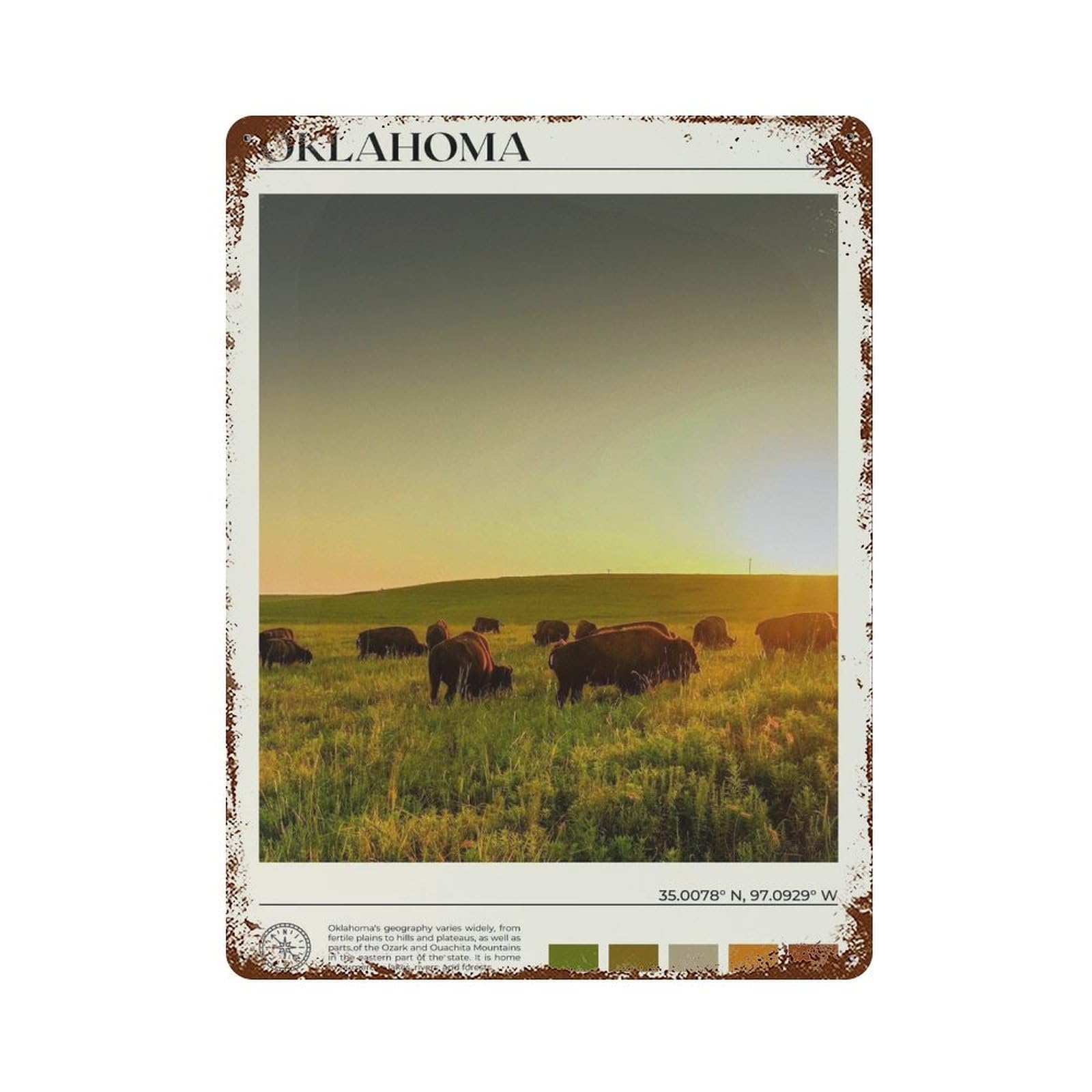 xiaoxiaoshen Real Photo Oklahoma Decor USA Wall Decor Art Metal Tin Poster Modern Home Decor Art Home Bar Shop Decorations Vintage Sign 40x30cm