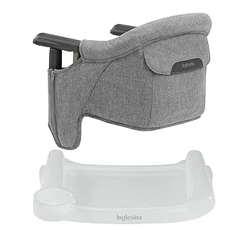 Amazon.com: Inglesina Fast Table Chair - Stone Gray Melange
