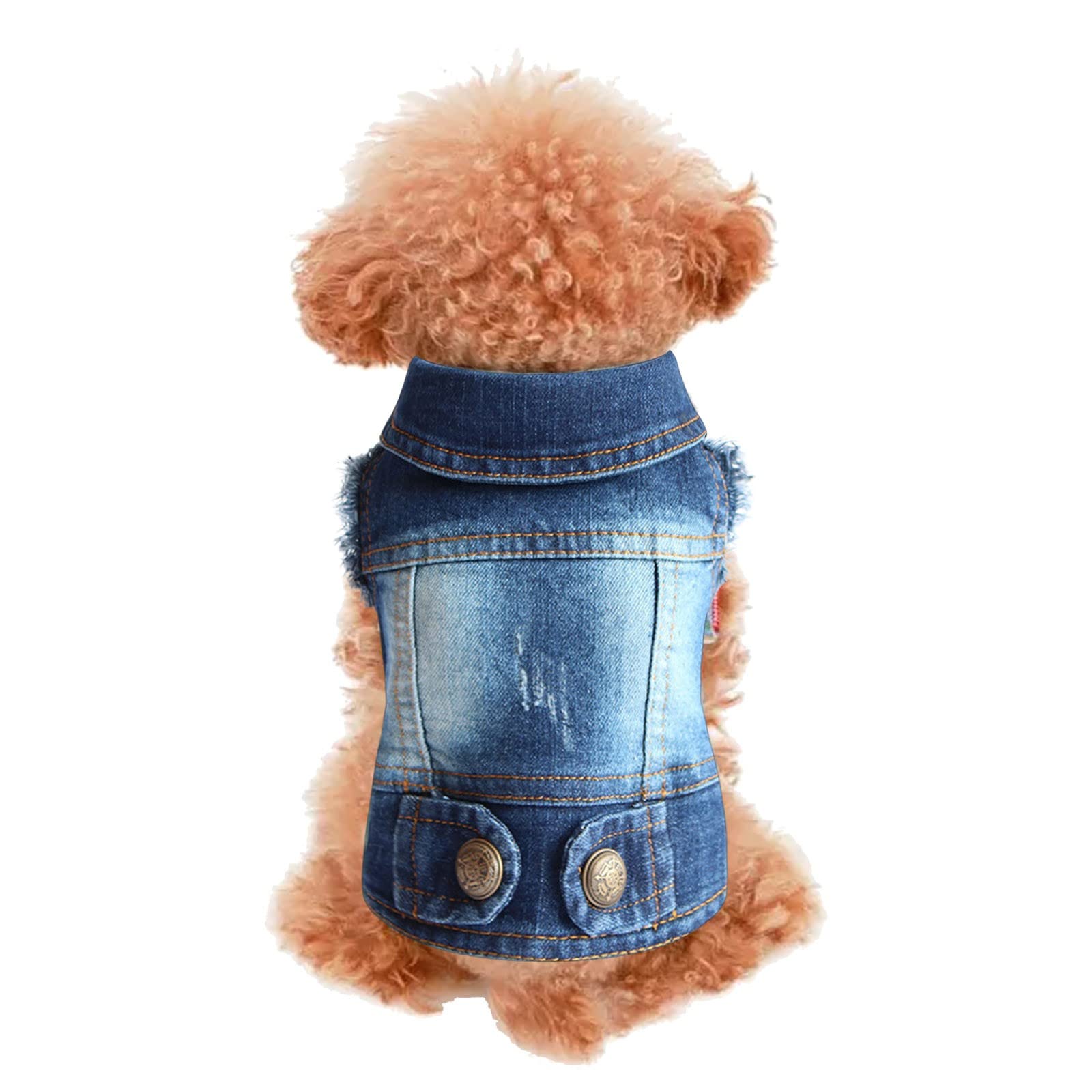 Giacca di Jeans per Cani e Gatti di Piccola e Media Taglia - Alla Moda, Traspirante per Animali Domestici, Barboncino Giocattolo