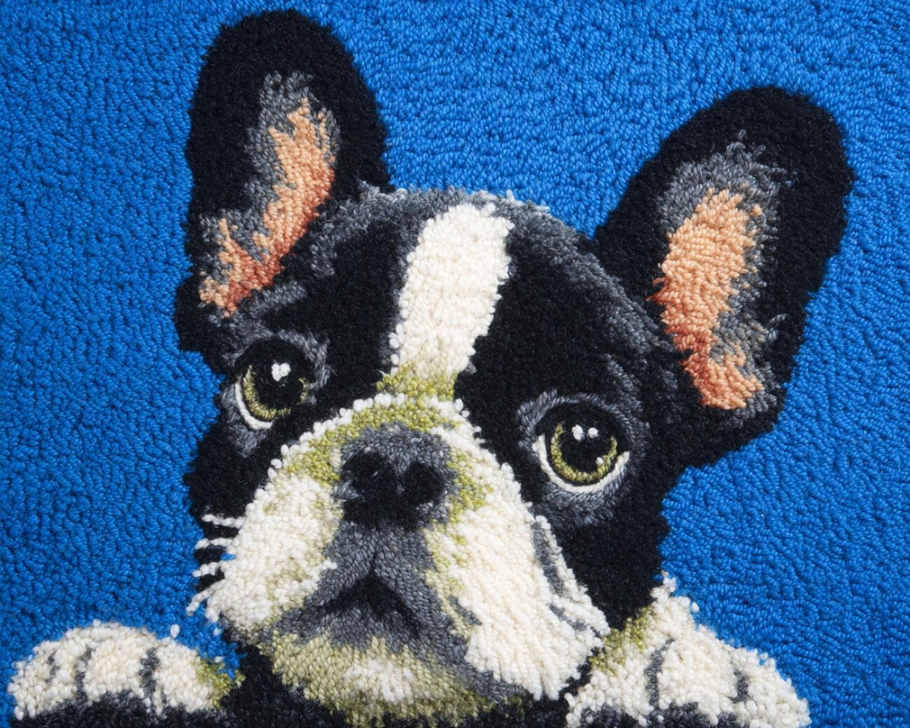 AMBATTERY Latch Hook Tapestry Kit Bulldog Portrait 60x90cm