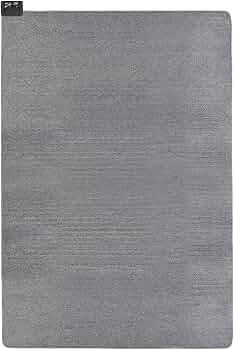 Amazon.co.jp: 広電(KODEN) 電気カーペット ホットカーペット 本体 290