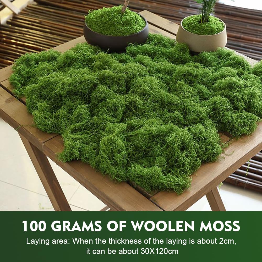 100g Muschio Stabilizzato per Presepe Naturale Muschio Finto per Decorazioni Lichene Stabilizzato Pannelli Licheni Stabilizzati Moss Muschio Artificiale Decorativo Islandese Muschio-Scuro
