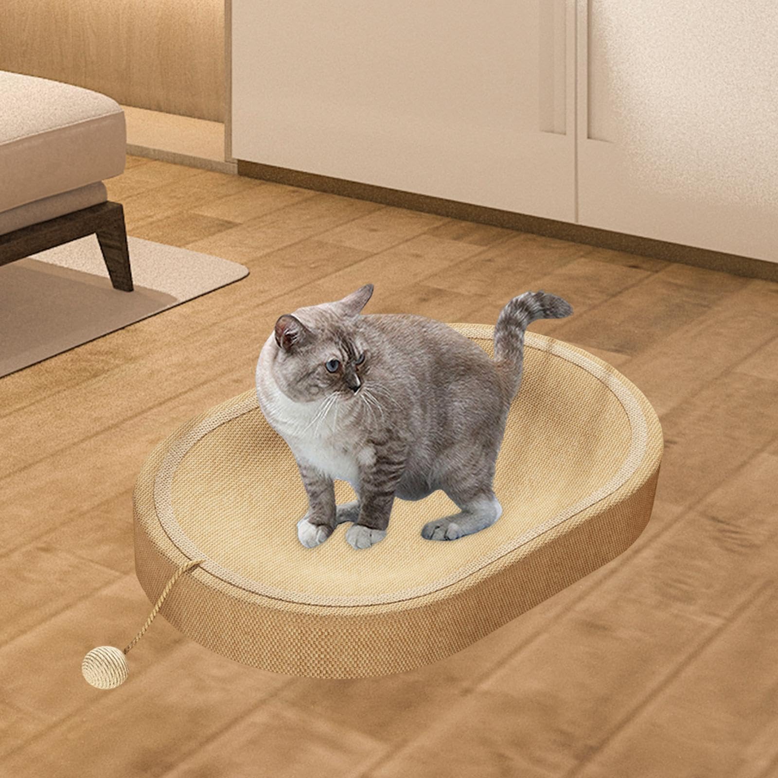 Griffoir pour Chat, Lit de Protection pour Chaton D'intérieur et D'extérieur