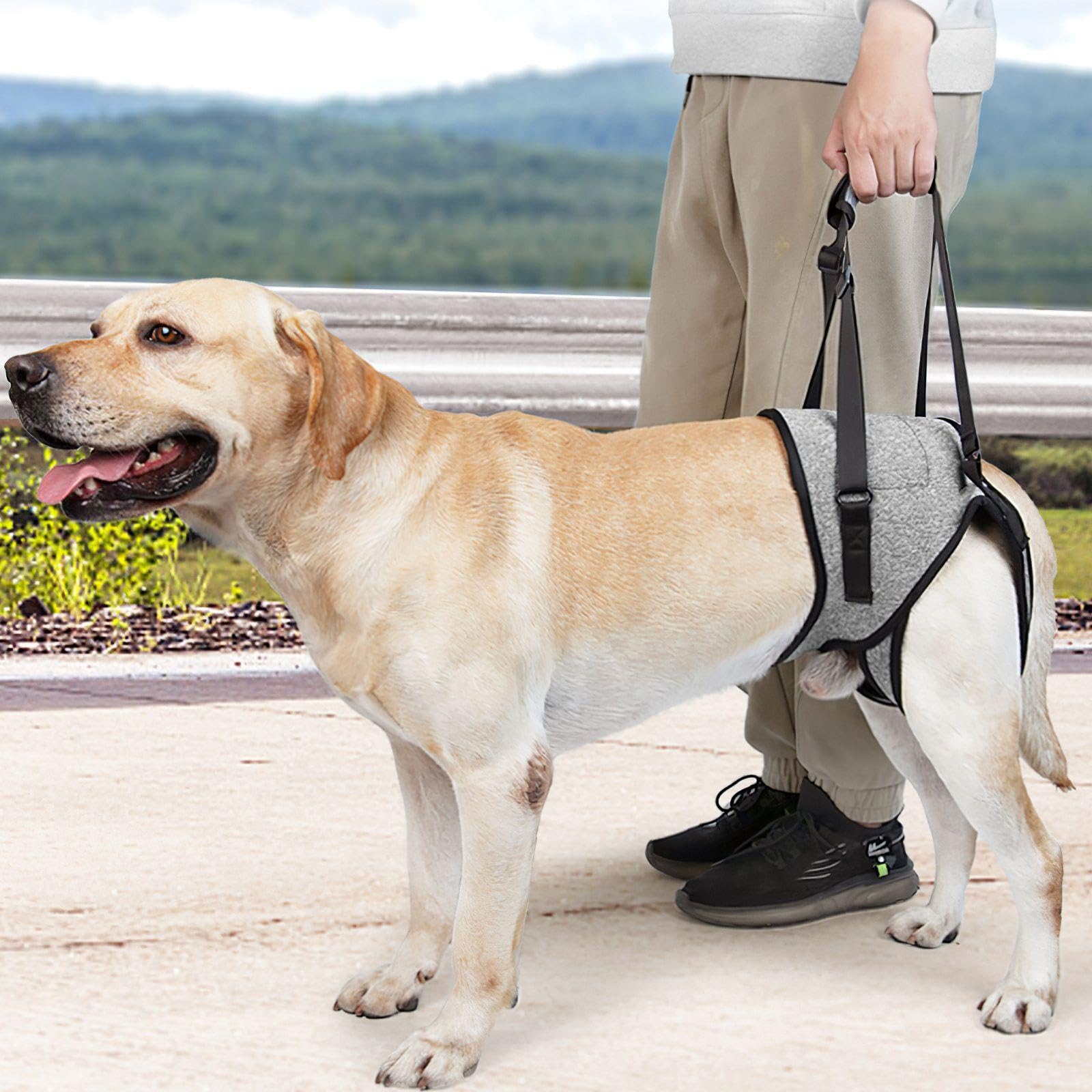 YSDYY 1 Piece Of Dog Walking Auxiliary Harness, Dog Traction Harness, Pet Supplies, Dog Travel Supplies, Grey - Image 4