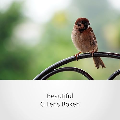 Sony SEL70350G — galinė pusė