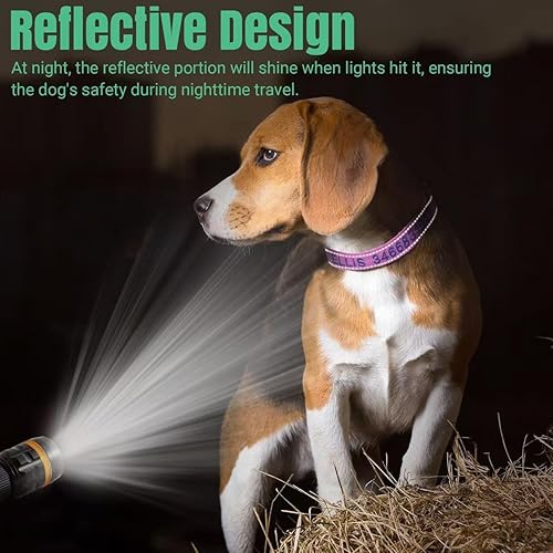 Miniatura 3 de Collares de perro personalizados con nombre y número de teléfono, collar de perro personalizado tamaño L para perros grandes, niñas, collar