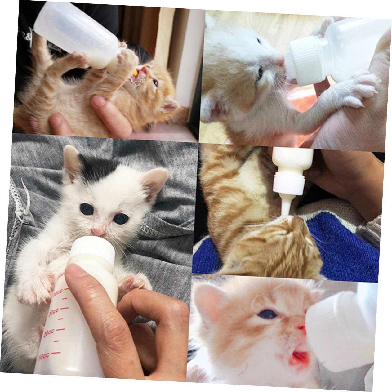 INOOMP Nursing Bottles for Pet 6pcs Dog Cat Feeding Bottle Set 4 Replacement Bottle Mouths Cleaning Brush