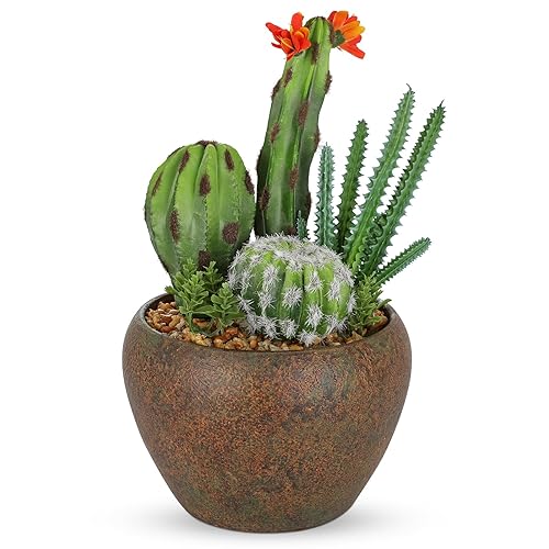Assorted Artificial Cactus Plants Indoor - 5.9" Small Faux Succulent