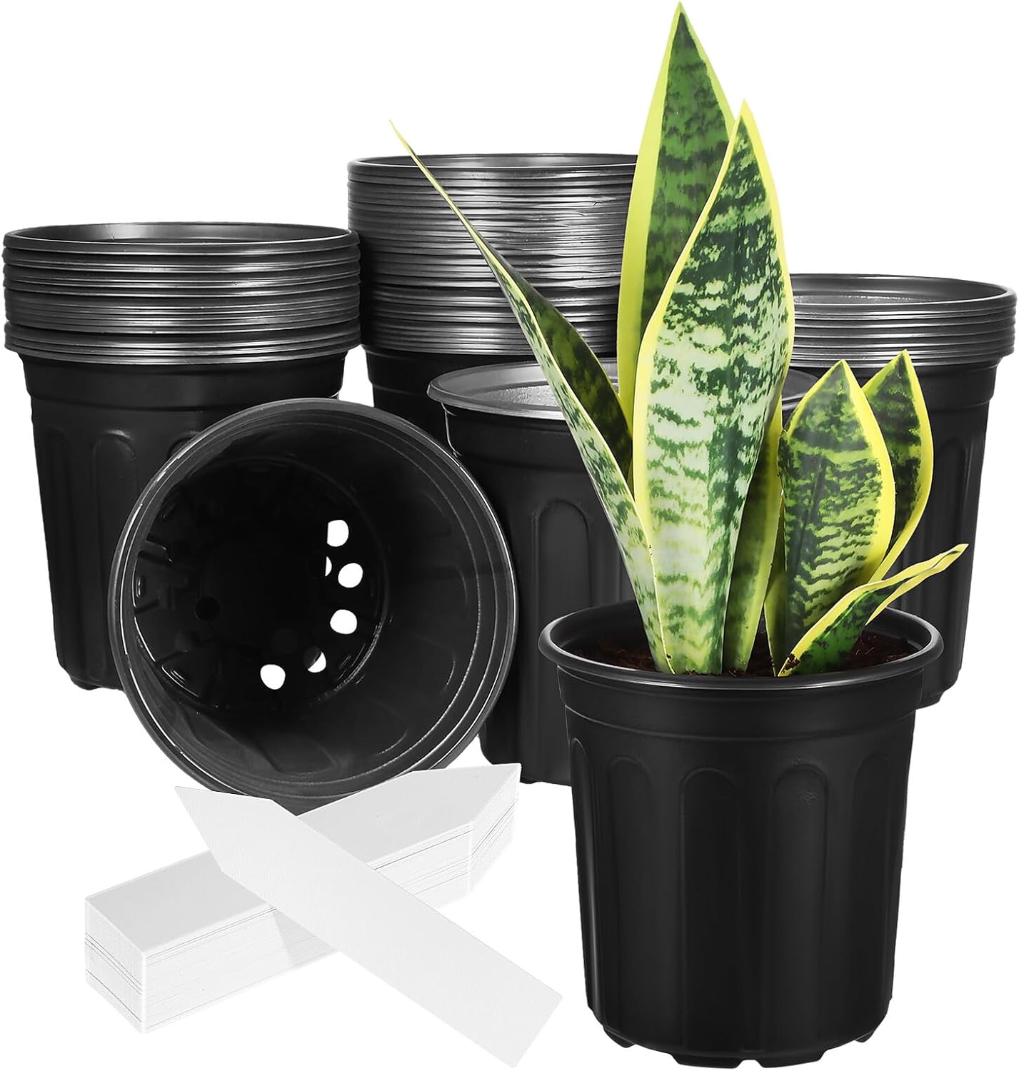 LIOOBO 50pcs Round Nursery Plant Pots with Drainage Holes, Small Plastic Planter Pots for Seed Starting and Indoor Gardening, 16.5cm Diameter, Suitable for Home Greenhouse Use