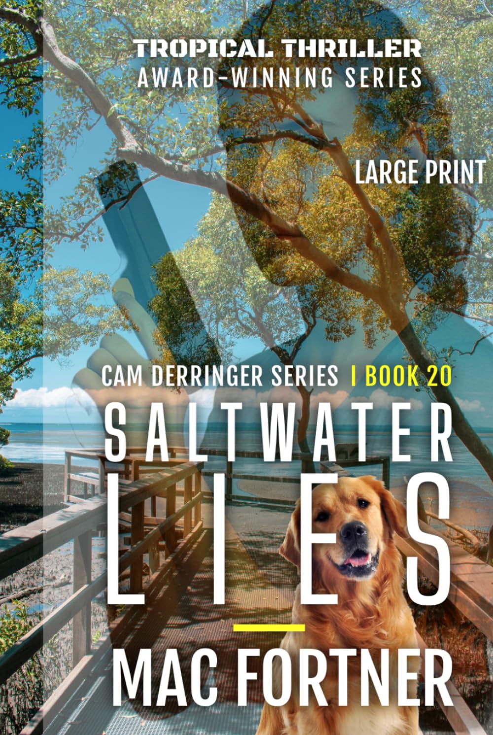 Saltwater Lies: A Cam Derringer Novel (Tropical Adventure Series Book 20)