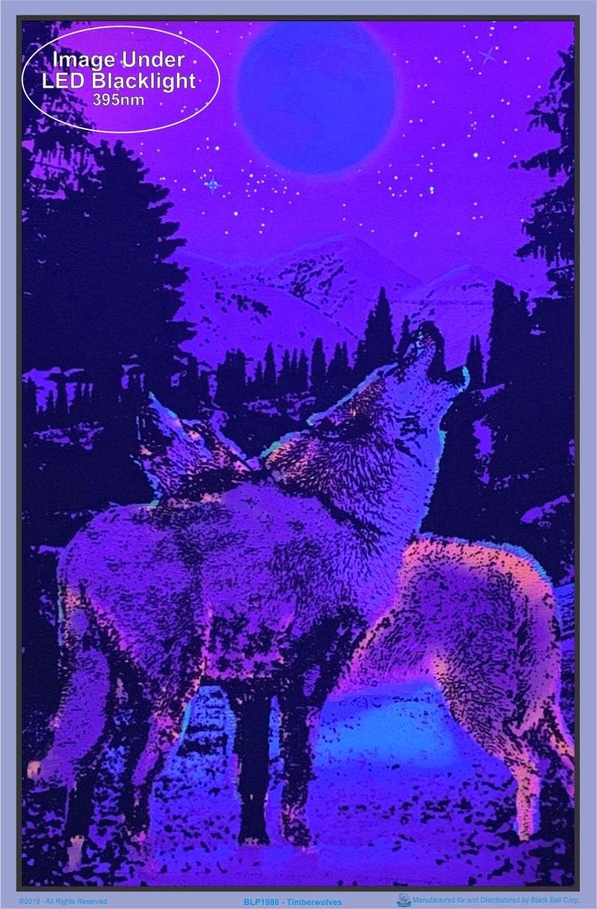 Poster Revolution (23x35) Timberwolves Flocked Blacklight Poster
