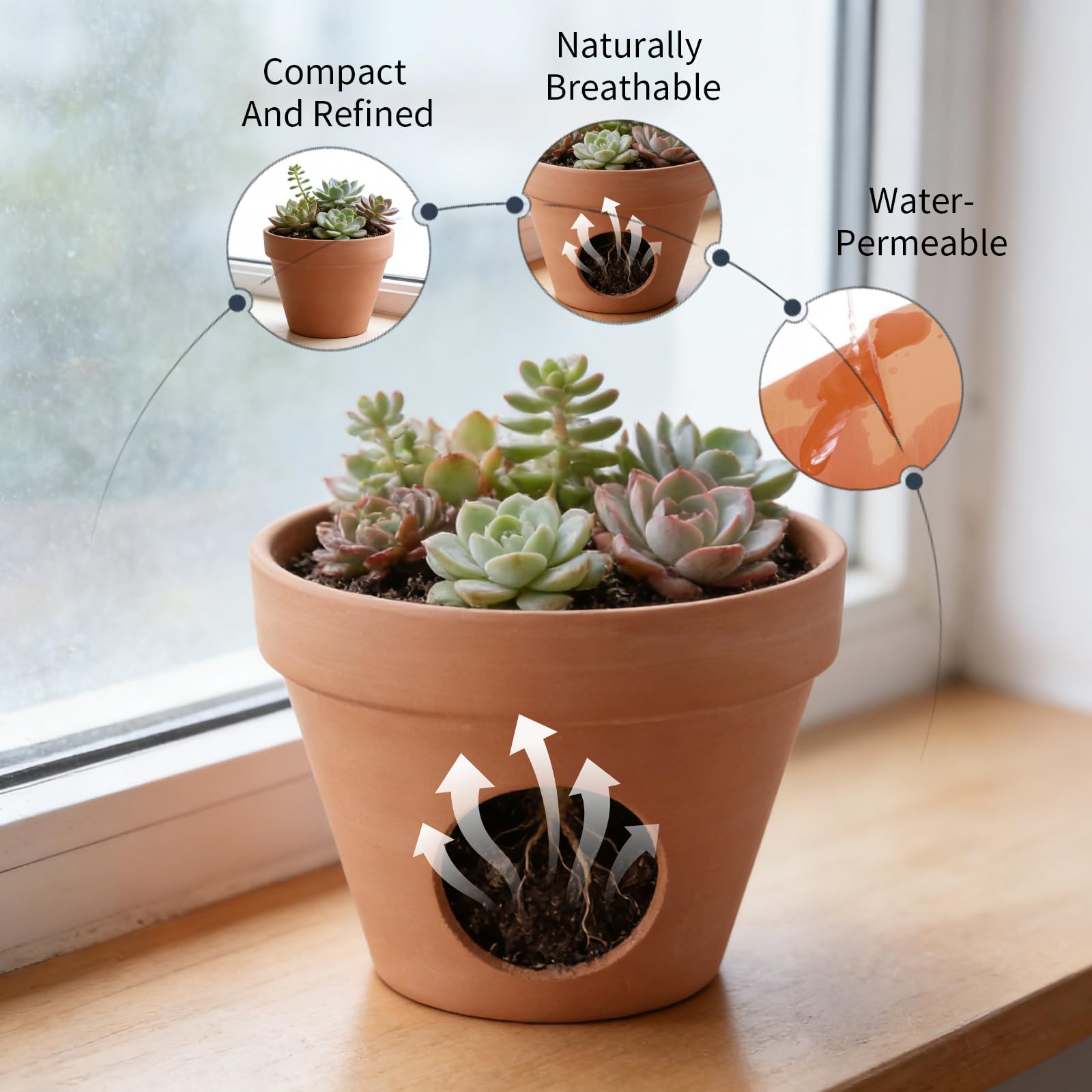 12 Vasetti In Terracotta Per Piantine, Piccoli Vasi In Terracotta Con Fori Di Drenaggio, Fioriere Riutilizzabili Adatte Per Cactus e Fiori, Per Uso Orticoltura (12)