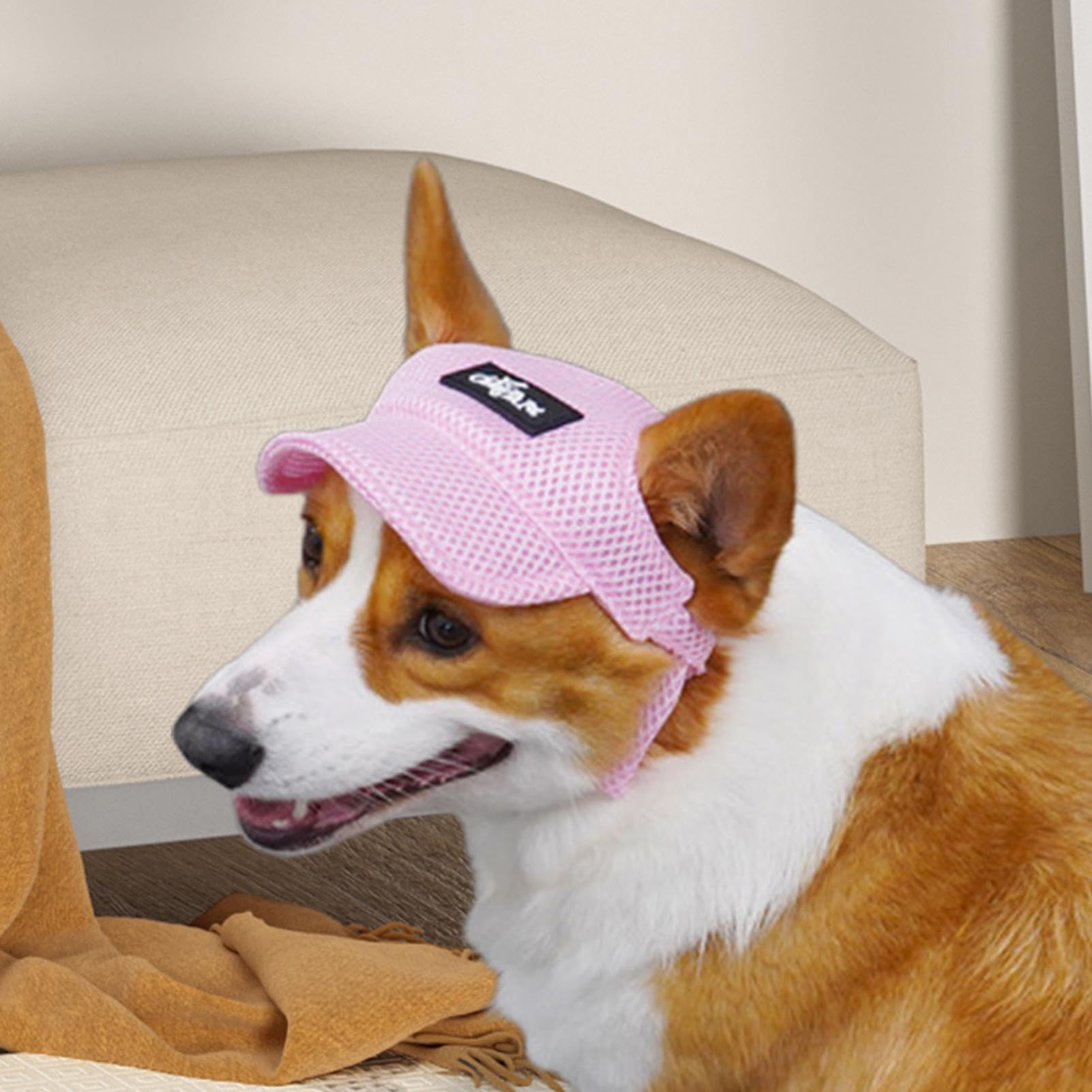 Cappellino Protezione Solare Per Cani - Con Fori Orecchie, Regolabile, Taglia L, Rosa - Foto 6