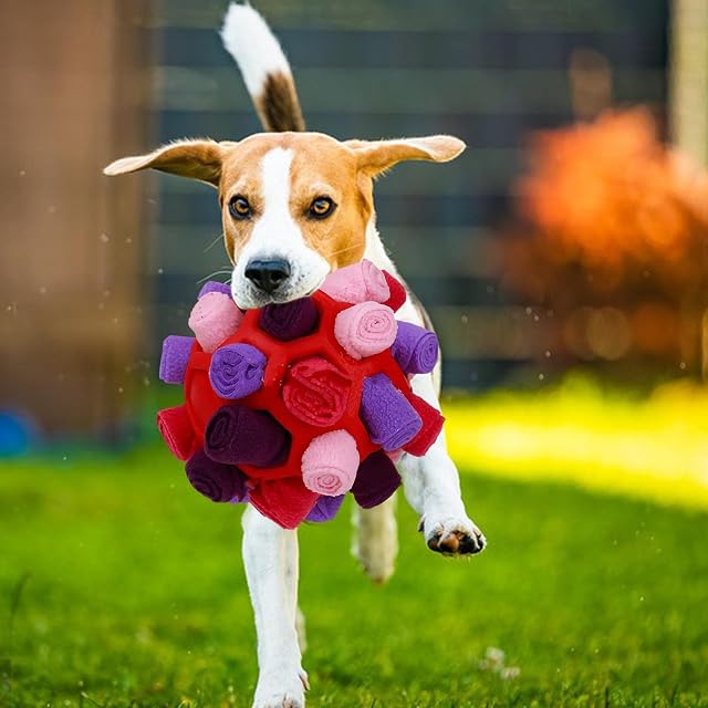 Foto 4 de 6 de PW TOOLS Golosinas para Perros Snuffle Ball