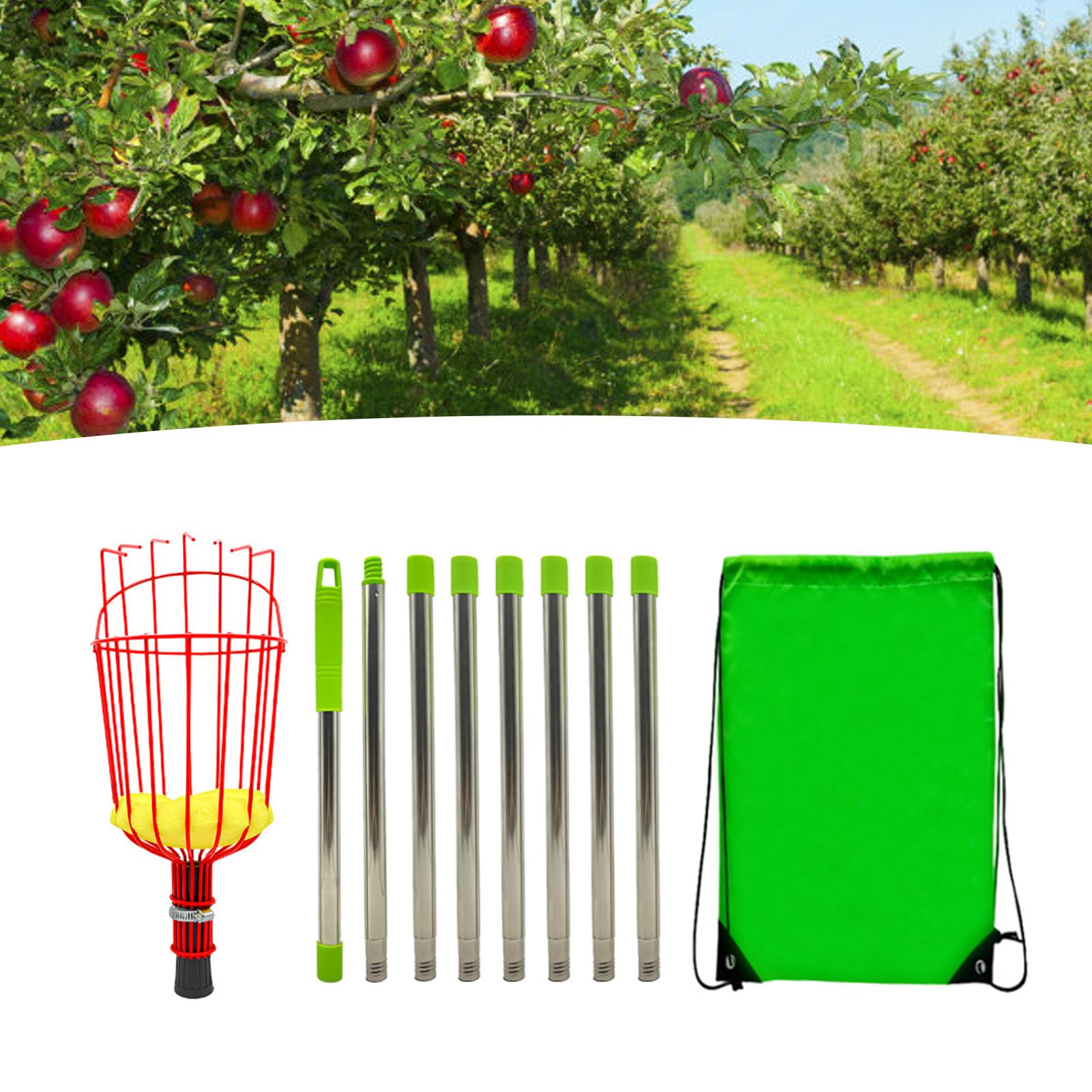 Poste recolector de frutas con cesta telescópica, herramienta de recolección de frutas ajustable, herramienta de poste telescópico recolector de naranjas para mango, pera, limón (Om / 10. Tenía miedo)