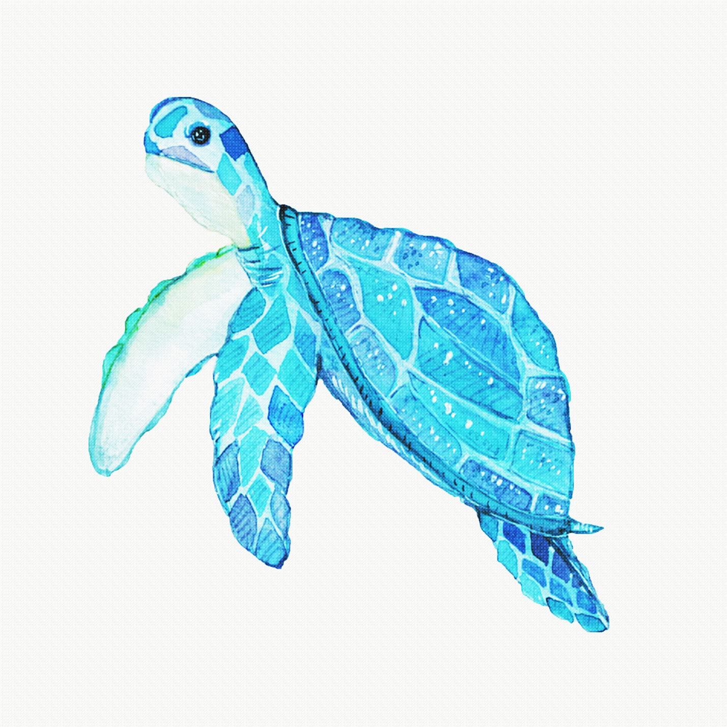 Orenco Originals Counted Cross Stitch Pattern Inspired by Sea Life