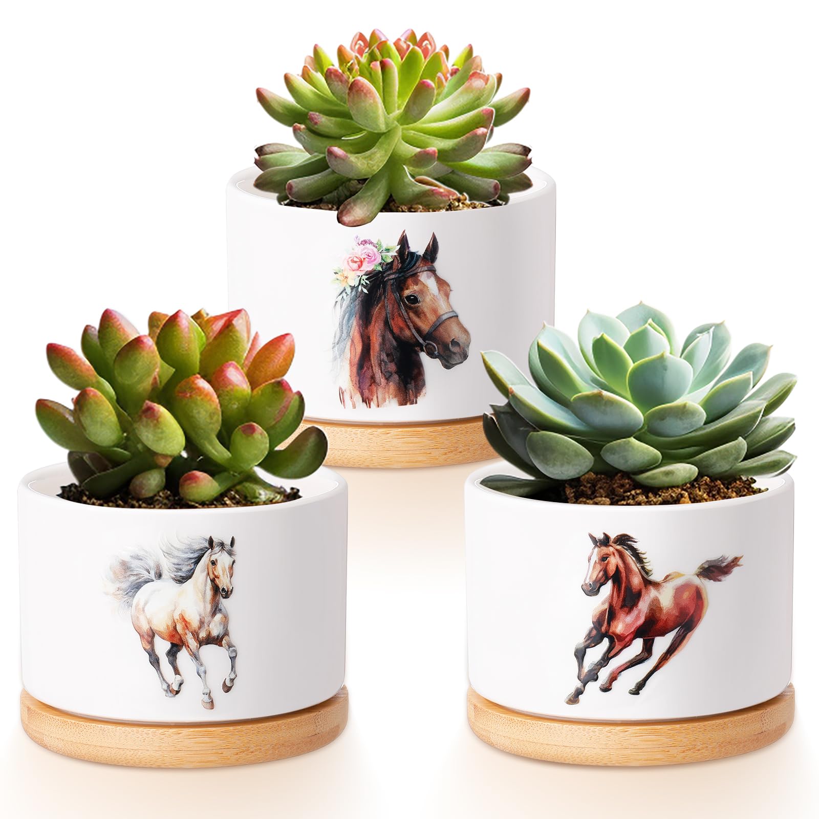 Pot de fleurs succulentes cheval pour décoration de bureau maison
