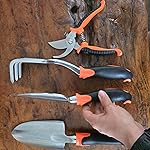 Review Image by Taylor