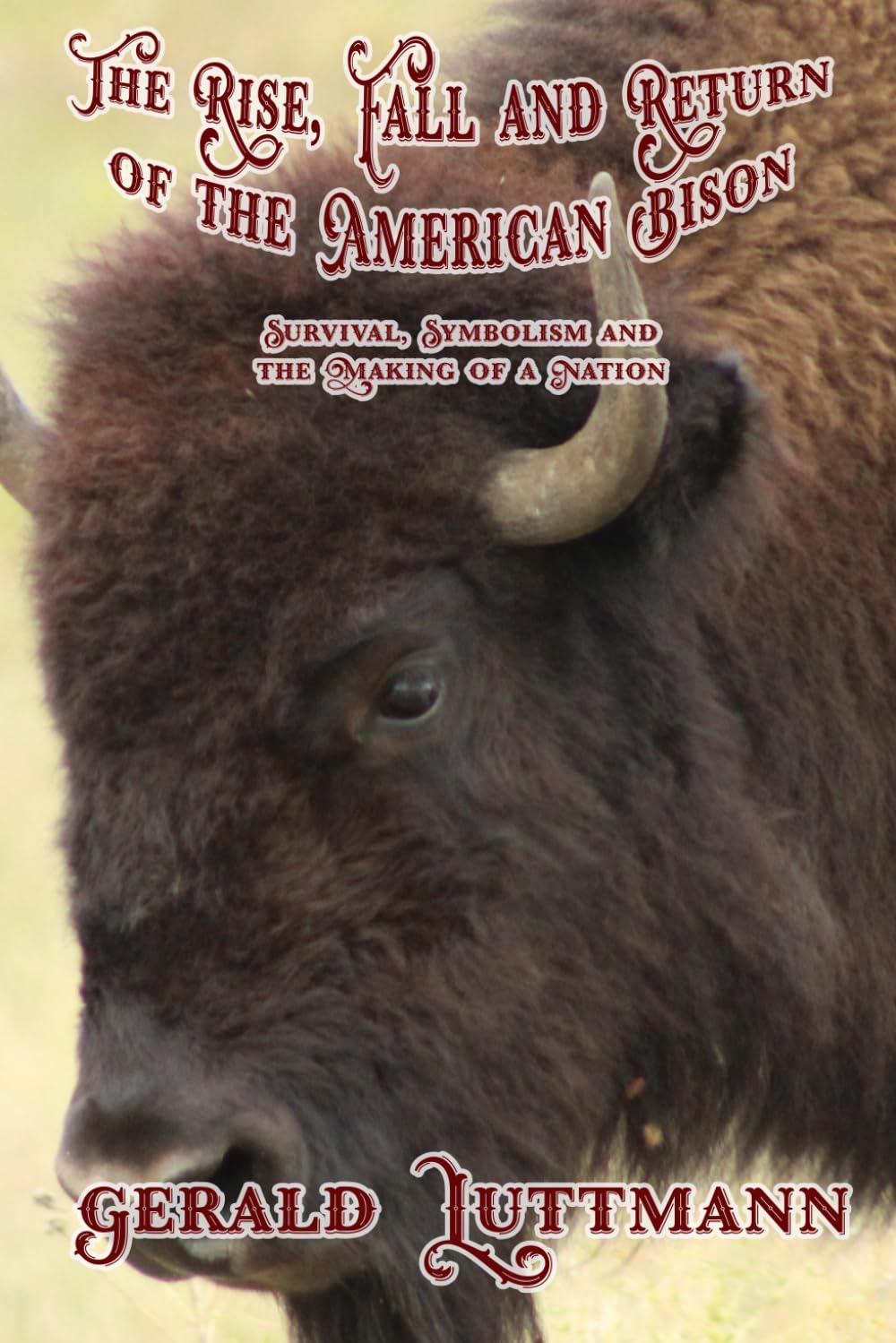 The Rise, Fall and Return of the American Bison: Survival, Symbolism and the Making of a Nation