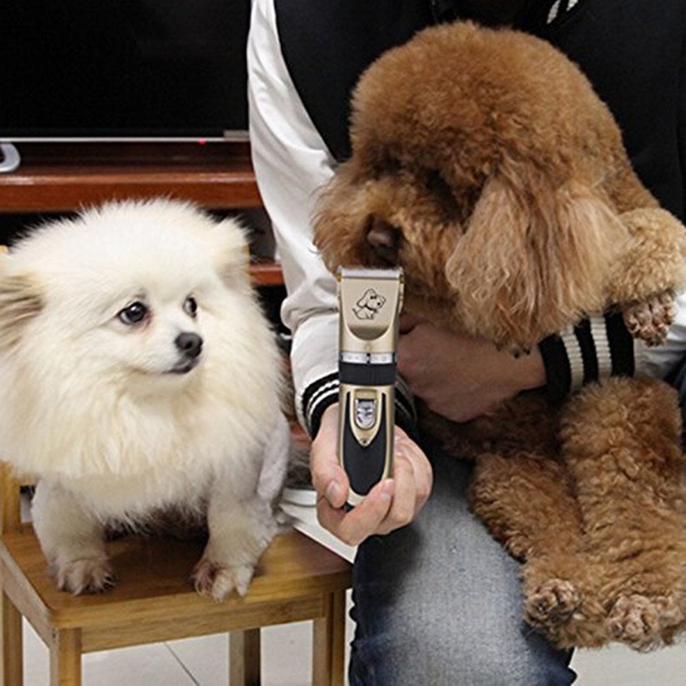 BaoRun Tondeuse professionnelle en céramique pour animaux de compagnie avec accessoires Rechargeable Tondeuse pour poils d'animaux domestiques Tondeuse électrique pour chiens, chats Or