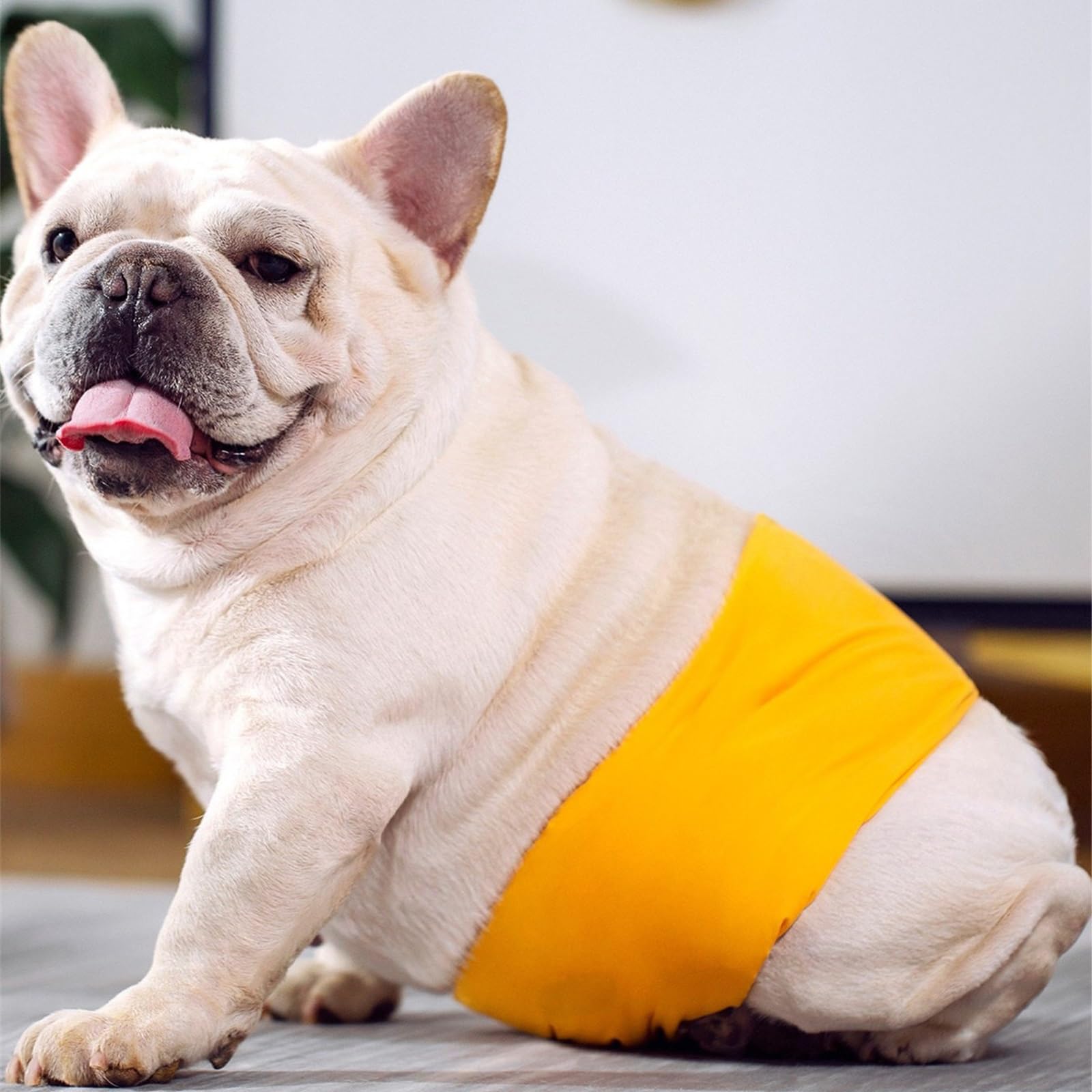 4 Piezas Pañales Lavables para Perros Macho Transpirable, a Prueba De Agua Pañales para Perros para Peluche, Medio Pequeño Pañales Perro Macho Hembra(XL)