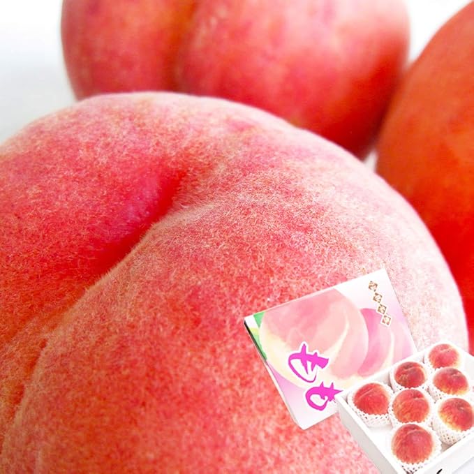 Amazon もも 伊達果実もも 丸秀品 約2 5kg 7 9玉 くだもの専門農協 産地直送 出荷予定時期 7月日 8月2日 ヨグモグ もも 通販 Amazon もも 伊達果実もも 丸秀品 約2 5kg 7 9玉 くだもの専門農協 産地直送 出荷予定時期 7月日 8月2日 ヨグモグ もも 通販