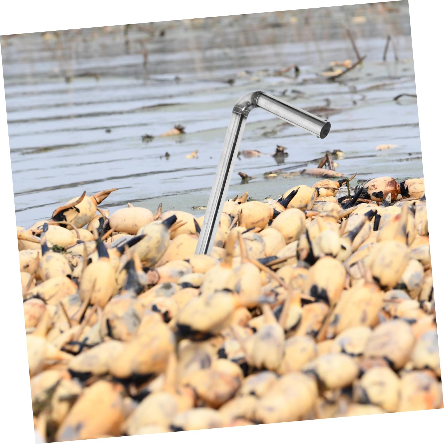 Ugello Spruzzatore Loto in Acciaio Inossidabile, Testa Curva | Argento, Pezzo di Ricambio per Nebulizzatore da Giardino, Testa per Spruzzatura Profilo Curvo