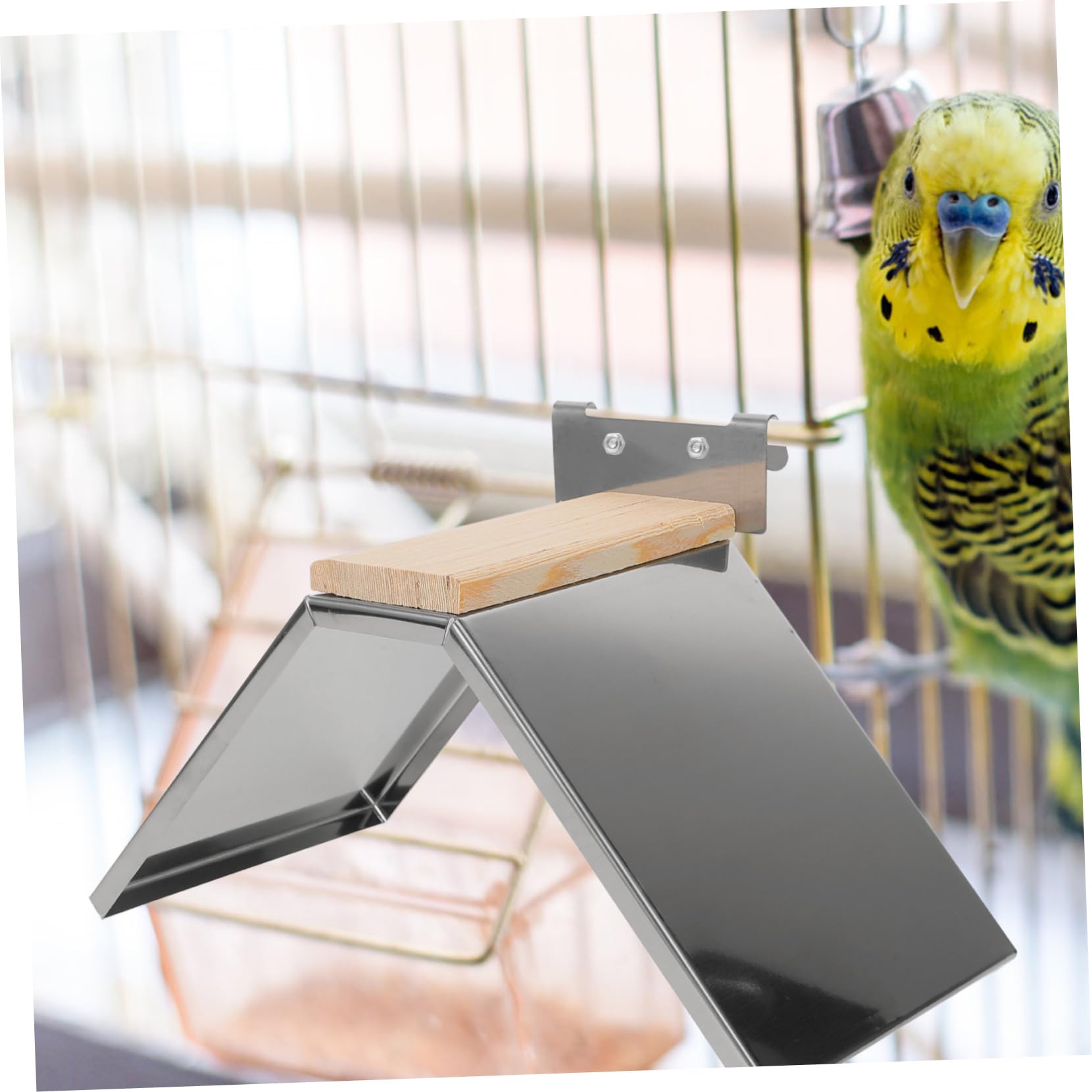 Kisangel 6 Piezas Percha para Palomas Soporte para Loros Soporte para Descanso Estante De Entrenamiento para Loros Juguete para Mascotas Jaula para Pájaros Percha Accesorios para