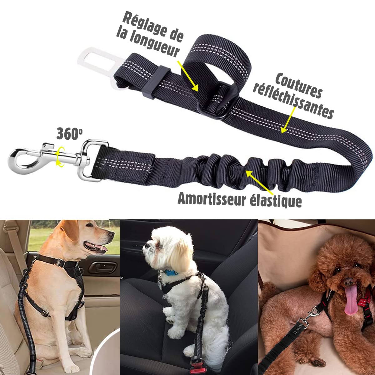Ceinture Chien Voiture - Harnais Voiture pour Chien - Ceinture de sécurité pour Chien Noir - Laisse pour Voiture avec Absorption de Chocs - Accessoire pour Chats et Chiens