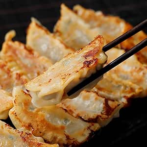 鹿児島直送黒豚の冷凍餃子 96個(タレ・レシピ付き)