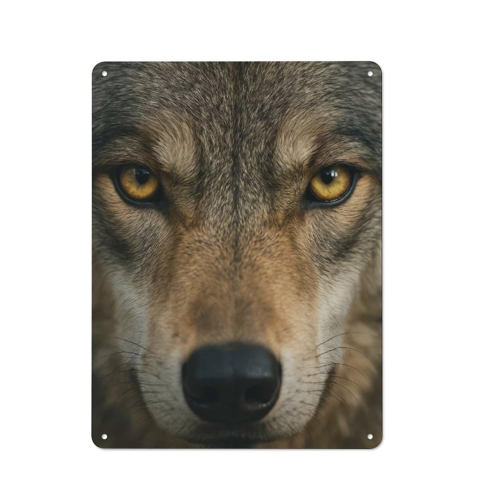 Intense Wolf Portrait Retro Printed Metal Sign 40x30cm for Garage Or Workshop, for Garage, Workshop And Man Cave Decoration