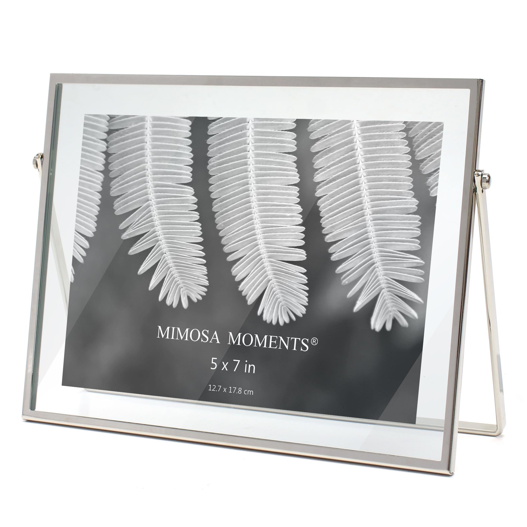 MIMOSA MOMENTS Silver Metal Floating Picture Frame (Silver, 5x7 horizontal)