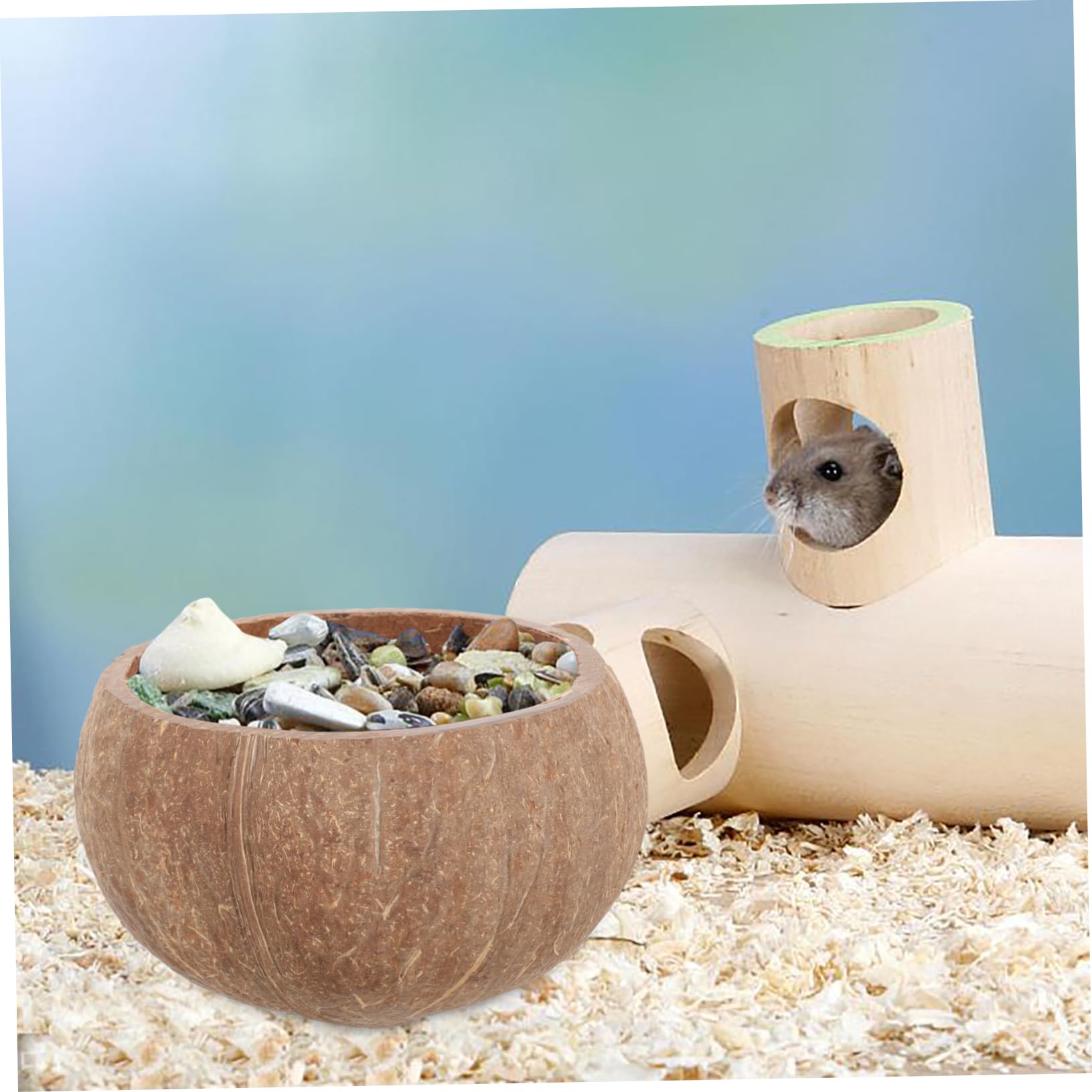 BELLIFFY Water Bowl for Guinea Pig Chinchilla Hamster Safe Sturdy Pet Feeder Easy Clean Feeding Dish for Animals Bowl Pet Supplies