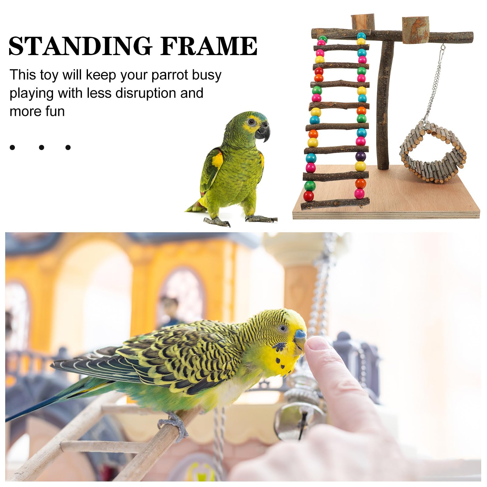 ERINGOGO Robuster Hölzerner Papageien Trainingsständer als Vogelspielplatz und Sitzplattform für Desktop Dekoration und Vogelzubehör